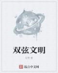 ˫