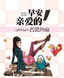 簲װ
